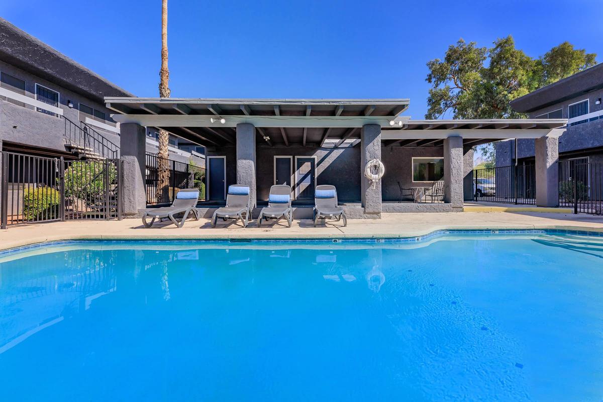 A clear blue swimming pool with five lounge chairs positioned beside it. In the background, there are modern buildings with black exteriors and a covered patio area. Palm trees and a clear blue sky complete the serene outdoor setting.